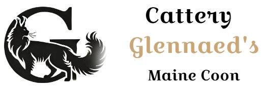 Cattery Glennaed’s