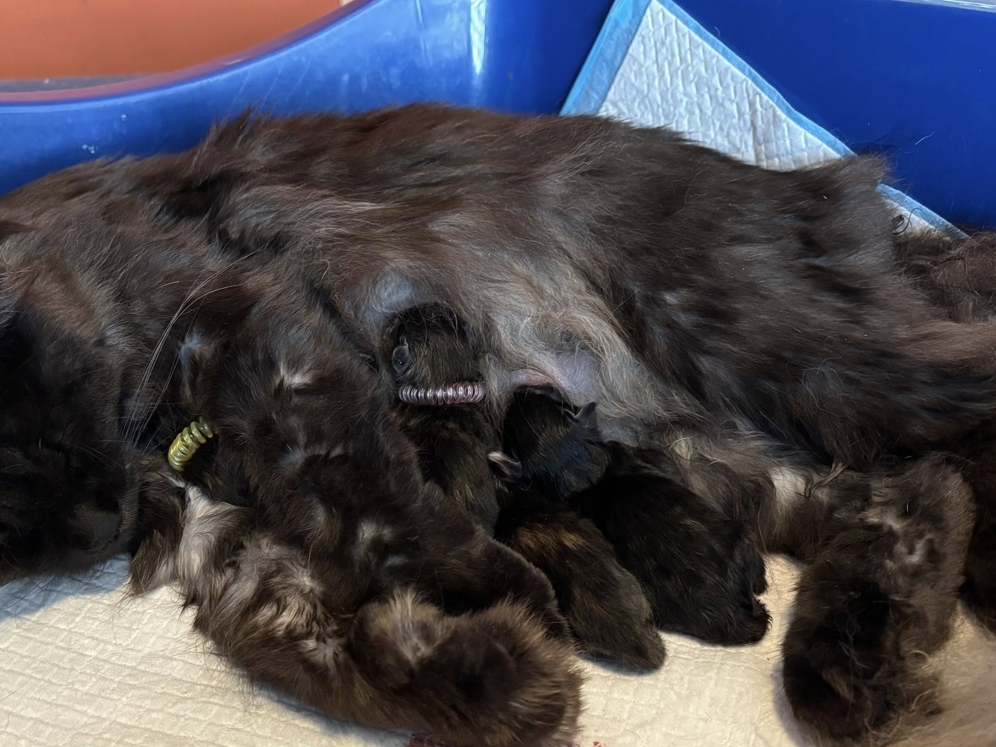 Glennaed’s Fashionista’s zijn geboren!